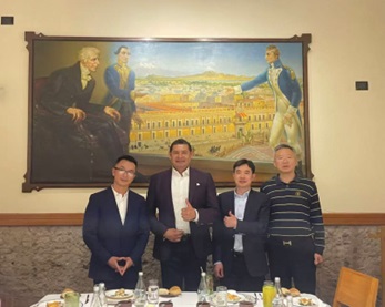 Reuniones Gubernamentales